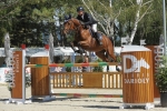 Vic du Marais_N135